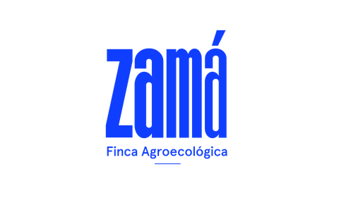 Zamá